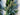Winter Pinecone and Bay Leaf Forest Garland - TwoInspireYou
