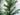 Classic Pine Garland with Pinecones – Realistic Holiday & Winter Greenery - TwoInspireYou