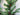 Classic Pine Garland with Pinecones – Realistic Holiday & Winter Greenery - TwoInspireYou