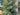 Deluxe Appalachian Pine Garland - TwoInspireYou