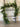 Mixed Georgia Pine Garland with Pinecones - TwoInspireYou