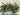 Deluxe Appalachian Pine Garland - TwoInspireYou