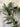 Winter Pinecone and Bay Leaf Forest Garland - TwoInspireYou