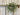 Frosted Mistletoe Window Wreath – Handmade Christmas Greenery Accent | - TwoInspireYou