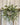 Frosted Mistletoe Window Wreath – Handmade Christmas Greenery Accent | - TwoInspireYou