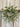 Frosted Mistletoe Window Wreath – Handmade Christmas Greenery Accent |