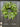 Spring Real Touch Tulip Wreath and Bay Leaf Greenery - TwoInspireYou