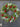 Norfolk Pine and Silver Bay Leaf Christmas Wreath | Red Berry Holiday Door Décor