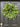 Spring Real Touch Tulip Wreath and Bay Leaf Greenery - TwoInspireYou