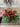 Christmas Greenery Hanging Bundles – Pine, Bayleaf, and Berry Décor | - TwoInspireYou