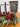 Advent Candle Wreath with Red Poinsettias, Pinecones & Evergreens | - TwoInspireYou