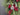 Christmas Door Swag Collection by Twoinspireyou | - TwoInspireYou