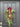 Christmas Door Swag Collection by Twoinspireyou | - TwoInspireYou