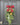 Christmas Door Swag Collection by Twoinspireyou | - TwoInspireYou