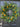 Spring Orchard Oranges & Blueberries Wreath - TwoInspireYou