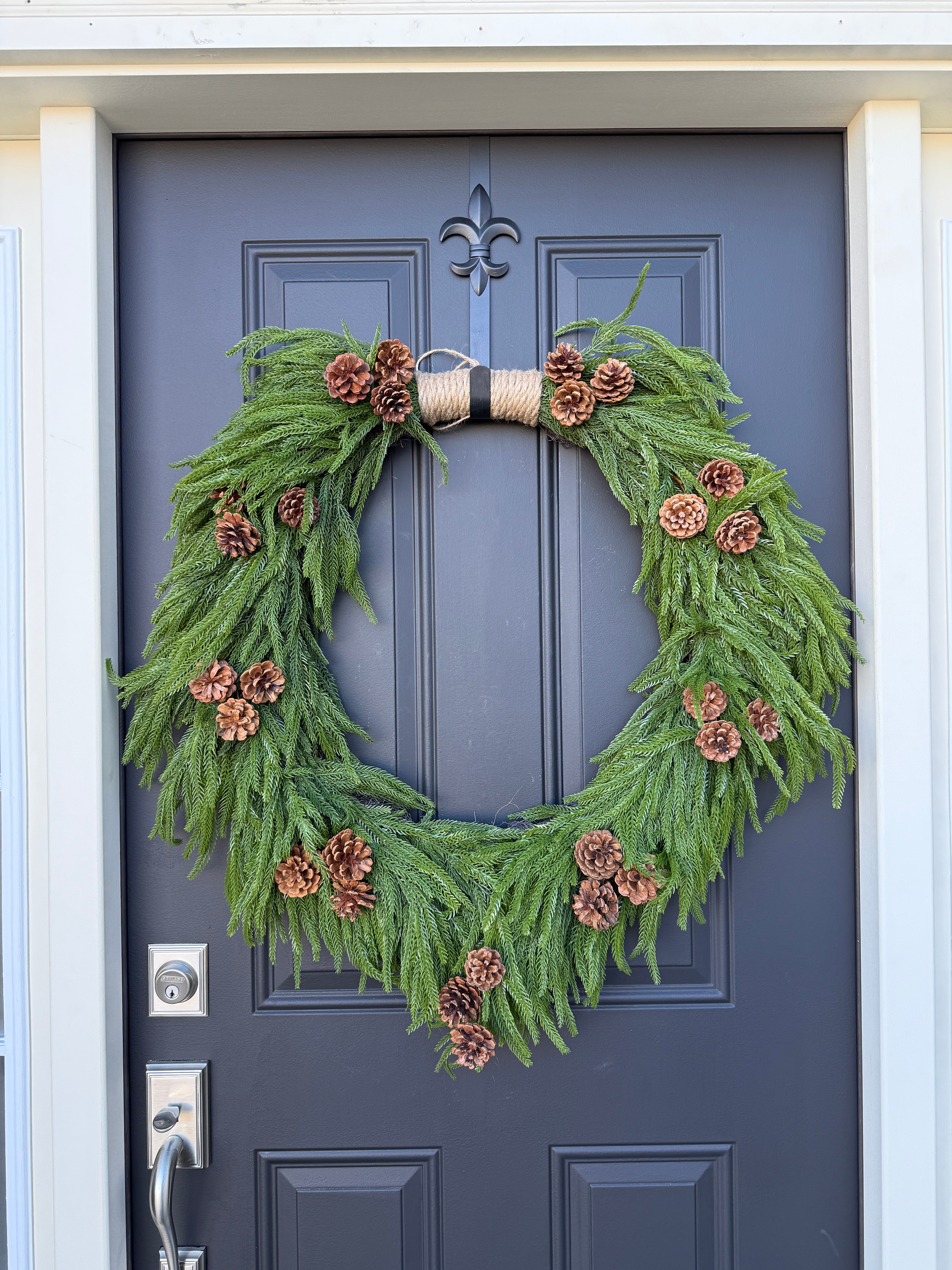 Heart-Shaped Norfolk Pine Wreath with Pinecones and Twine Hanger |