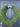 Heart-Shaped Norfolk Pine Wreath with Pinecones and Twine Hanger - TwoInspireYou
