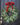Plaid Bow Winter Eucalyptus Wreath with Frosted Pinecones | - TwoInspireYou