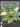 Large Blue and Green Hydrangea Garden Basket Wreath - TwoInspireYou