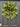 Lush Greenery Wreath Oranges and Blueberries - TwoInspireYou