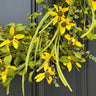 Yellow Daisy Meadow Wreath - TwoInspireYou