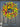 Color Burst Daisy Wreath - TwoInspireYou