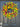 Color Burst Daisy Wreath - TwoInspireYou