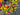 Color Burst Daisy Wreath - TwoInspireYou