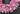 Pink and Purple Tulip Wreath - Spring Tulip Wreath for Front Door - TwoInspireYou