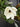 Classic Magnolia Wreath - TwoInspireYou