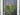 Cascading Fern Wreath - Year Round Fern Wreath Door Hanging - TwoInspireYou