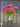 Front Door Pink Geranium Bucket Wreath - TwoInspireYou