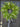 Lily of the Valley Fern Spring Wreath - TwoInspireYou