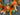 Fall Magnolia Wreath with Sunflowers and Pumpkins - TwoInspireYou