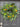 Colonial Fruit Wreath with Apples Oranges and Blueberries