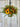 Fall Door Bucket with Yellow Sunflowers and Pumpkins