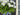 White Geranium Door Basket with Ferns – Summer Front Door Decor with Blue Stripe Bow - TwoInspireYou