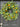 Artificial Citrus Wreath with Oranges & Lemons – Summer Door Wreath with Greenery & Blossoms