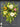 Dahlia & Ivy Summer Front Door Wreath