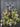 Lilac & Variegated Greenery Front Door Wreath