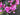 Luxury Pink Peony Front Door Wreath