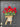 Red Geranium Americana Summer Bucket Door Hanger