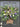 Hyacinth Wildflower Cottage Door Basket - TwoInspireYou