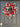Red, white and blue wildflower wreath