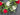 Americana Wreath with Geraniums, Blueberries, Magnolia and Fern - TwoInspireYou