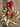 Mini Gold Bayleaf Christmas Window Wreath, Set of 2 - TwoInspireYou