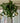 Frosted Mistletoe Bundle - TwoInspireYou