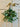 Frosted Mistletoe Bundle - TwoInspireYou