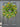 Spring Real Touch Tulip Wreath and Bay Leaf Greenery - TwoInspireYou