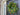 Spring Real Touch Tulip Wreath and Bay Leaf Greenery - TwoInspireYou